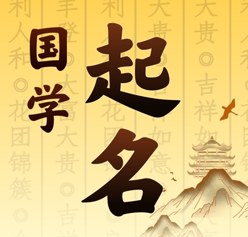 思明国学起名 人工起名一对一